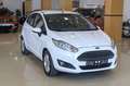 Ford Fiesta 1.25 Duratec 60kW (82CV) Trend 5p Blanco - thumbnail 5