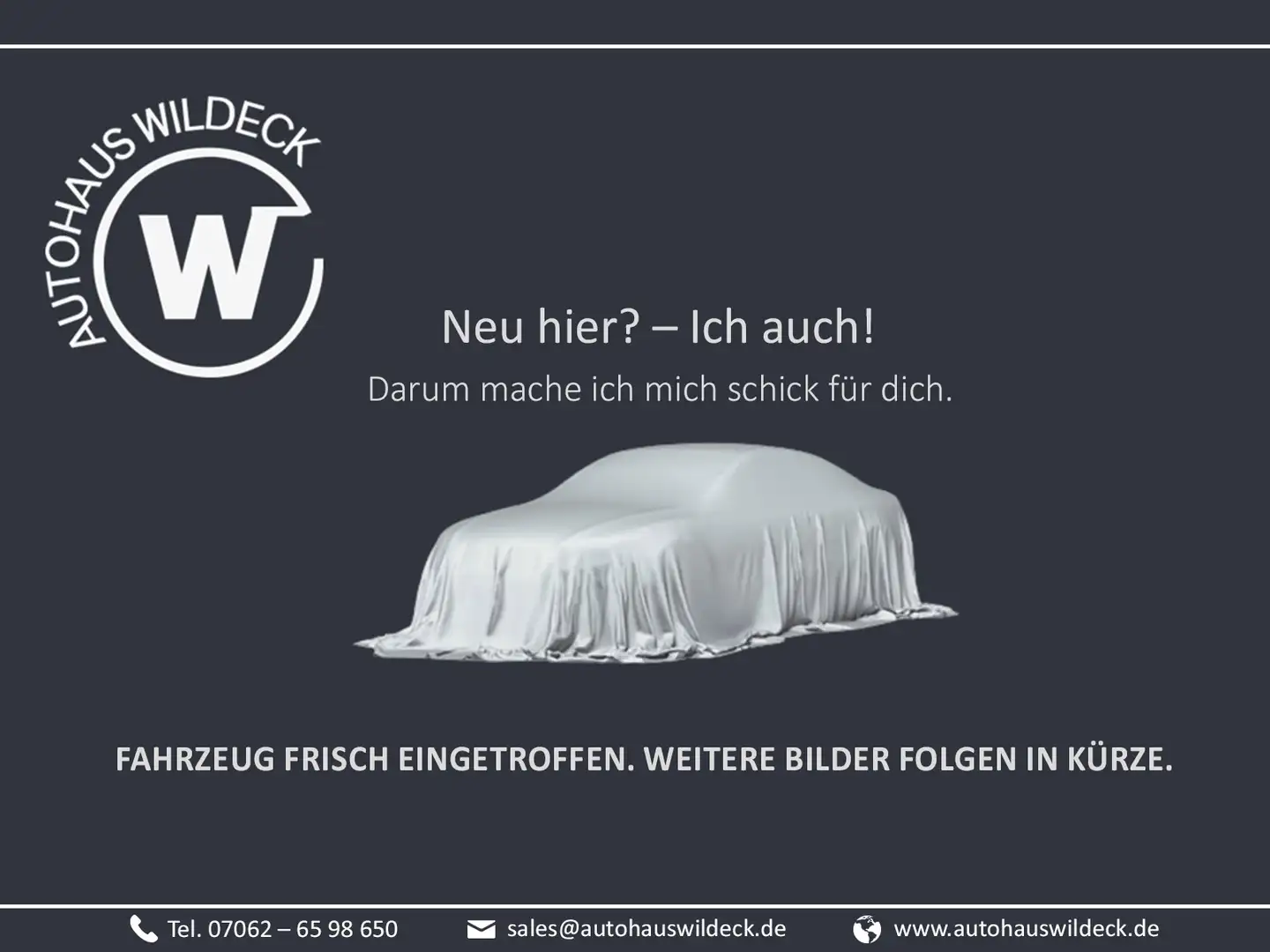 Audi SQ5 SQ5 TDI quattro Navi ACC Pano Matr AHK Luft 360° Gris - 1