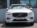 Volvo XC60 B4 D AWD Inscription Geartronic White - thumbnail 3