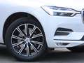 Volvo XC60 B4 D AWD Inscription Geartronic White - thumbnail 14