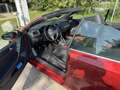 Volkswagen Golf Cabriolet Golf Cabrio 1.2 TSI Rot - thumbnail 10