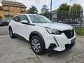 Peugeot 2008 PureTech 100 S&S Bianco - thumbnail 4