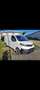 Toyota Proace Pro Ace 2.0 Diesel EURO6 Transporter / Kastenwagen - thumbnail 1