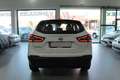Nissan Qashqai 1.5dCi Acenta 4x2 85kW Blanco - thumbnail 5