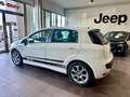 Fiat Punto Evo 5p 1.2 Dynamic s&s Bianco - thumbnail 2