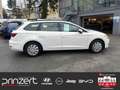 SEAT Leon Sportstourer 1.0 TSI "Reference" Weiß - thumbnail 17
