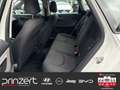 SEAT Leon Sportstourer 1.0 TSI "Reference" Weiß - thumbnail 13