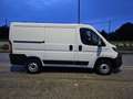 Fiat Ducato 28 2.3 MJT 120CV PC-TN Furgone Blanc - thumbnail 4