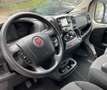 Fiat Ducato 28 2.3 MJT 120CV PC-TN Furgone Blanc - thumbnail 10