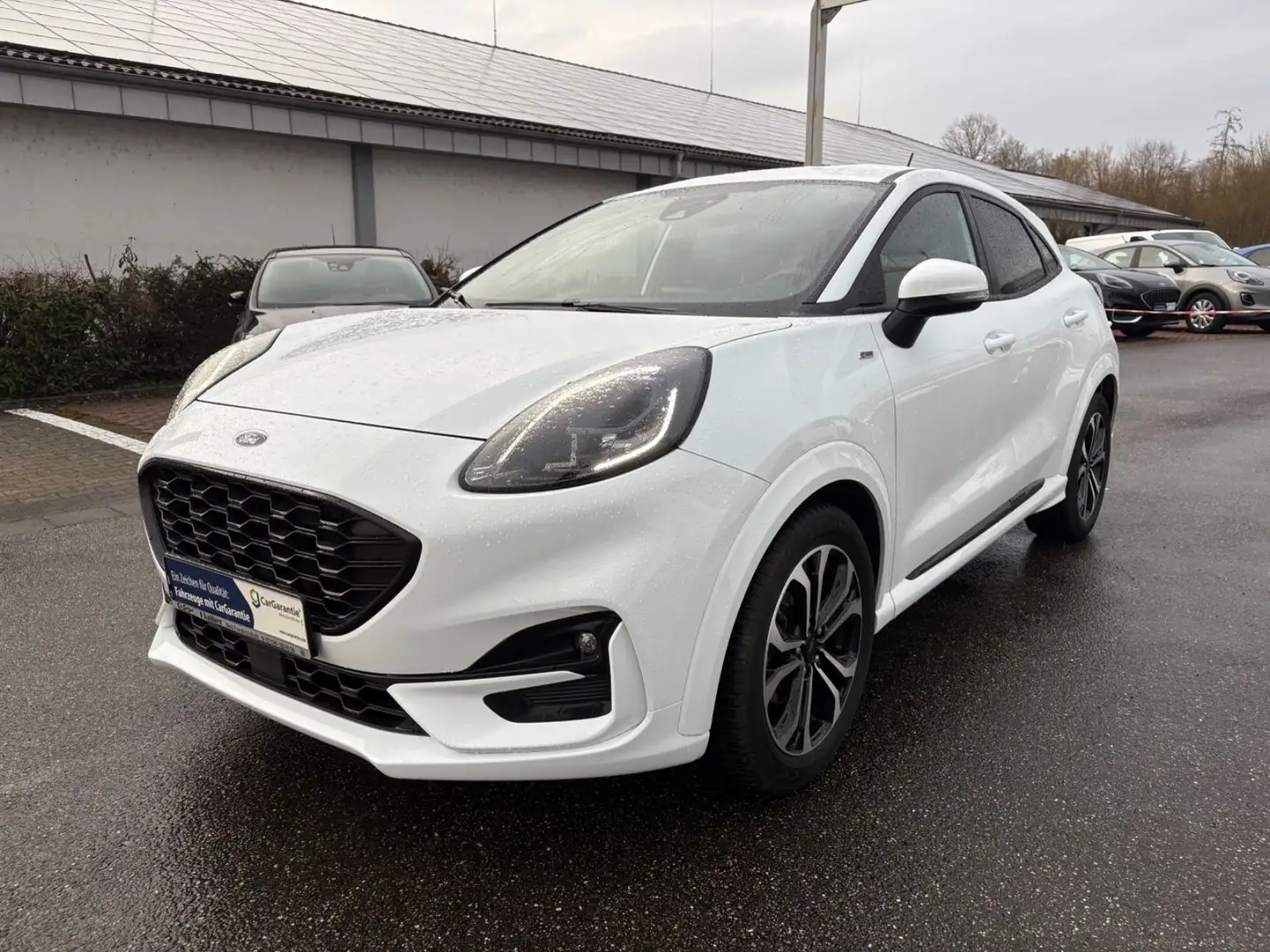 Ford Puma ST-Line Design+Winter-P.+Alu+AHK+RFK+DAB Wit - 2