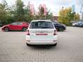 Skoda Fabia Combi 1.0 TSI AMBITION PDC+SHZ+TEMPOMAT Weiß - thumbnail 7