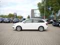 Skoda Fabia Combi 1.0 TSI AMBITION PDC+SHZ+TEMPOMAT Weiß - thumbnail 9