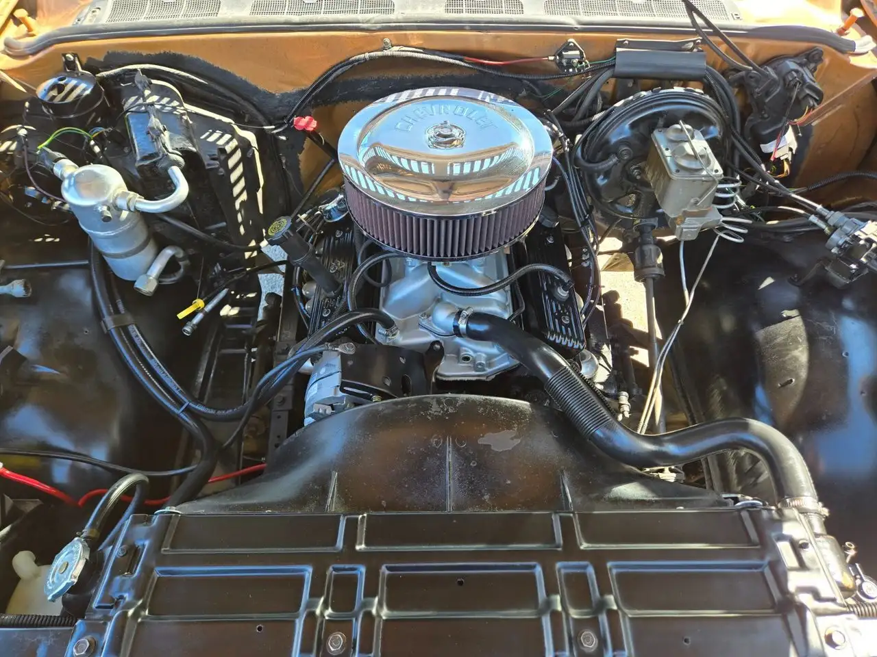 Chevrolet C10 fotografie Chevrolet C10