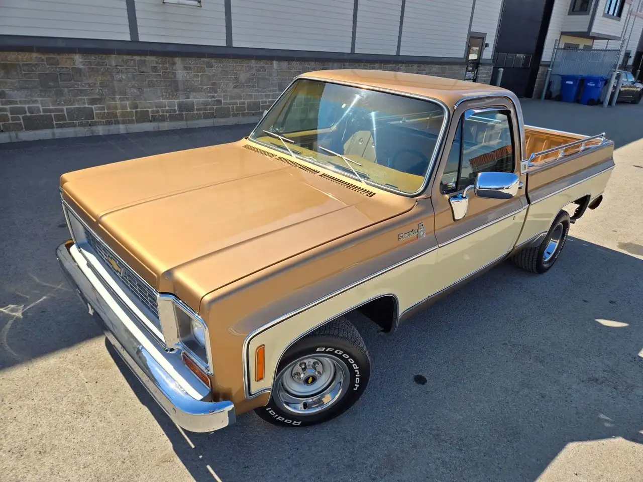 Chevrolet C10 fotografie Chevrolet C10