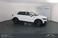 Audi Q2 35 TFSI ACC LANE SIDE KAMERA SOUND LED KEY LESS Weiß - thumbnail 4