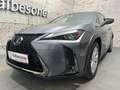 Lexus Sonstige UX 250 h E-Four F-Sport Grau - thumbnail 3