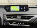 Lexus Sonstige UX 250 h E-Four F-Sport Grau - thumbnail 14
