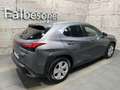 Lexus Sonstige UX 250 h E-Four F-Sport Grau - thumbnail 5