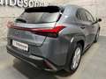 Lexus Sonstige UX 250 h E-Four F-Sport Grau - thumbnail 7
