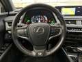 Lexus Sonstige UX 250 h E-Four F-Sport Grau - thumbnail 12