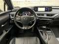 Lexus Sonstige UX 250 h E-Four F-Sport Grau - thumbnail 11