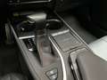 Lexus Sonstige UX 250 h E-Four F-Sport Grau - thumbnail 17