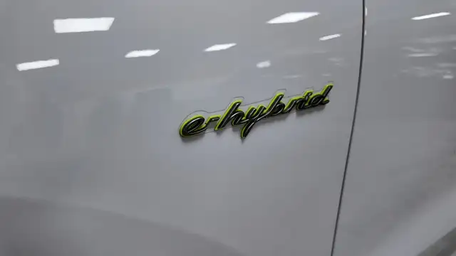 Porsche Cayenne view 12