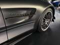 Mercedes-Benz AMG GT PRO*Magno*Track Pack*Carbon*Burmester Gris - thumbnail 11
