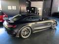 Mercedes-Benz AMG GT PRO*Magno*Track Pack*Carbon*Burmester Gris - thumbnail 2