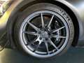 Mercedes-Benz AMG GT PRO*Magno*Track Pack*Carbon*Burmester Gris - thumbnail 15