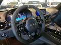 Mercedes-Benz AMG GT PRO*Magno*Track Pack*Carbon*Burmester Gris - thumbnail 18