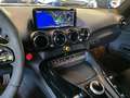 Mercedes-Benz AMG GT PRO*Magno*Track Pack*Carbon*Burmester Gris - thumbnail 21