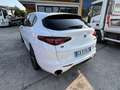 Alfa Romeo Stelvio 2.2 t Veloce FULL Q4 210cv auto Bianco - thumbnail 4