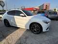 Alfa Romeo Stelvio 2.2 t Veloce FULL Q4 210cv auto Bianco - thumbnail 11
