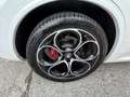 Alfa Romeo Stelvio 2.2 t Veloce FULL Q4 210cv auto Bianco - thumbnail 6