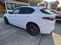 Alfa Romeo Stelvio 2.2 t Veloce FULL Q4 210cv auto Bianco - thumbnail 3