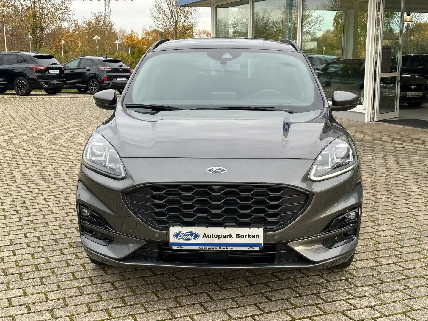 Ford Kuga ST-Line X Panorama Technologie Paket Winter Grijs - 2