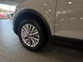Volkswagen T-Roc Life *DSG * KAMERA * ACC* Grau - thumbnail 13
