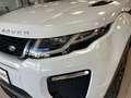 Land Rover Range Rover Evoque Cabriolet HSE Dynamic 2,0 TD4 Aut. Weiß - thumbnail 3
