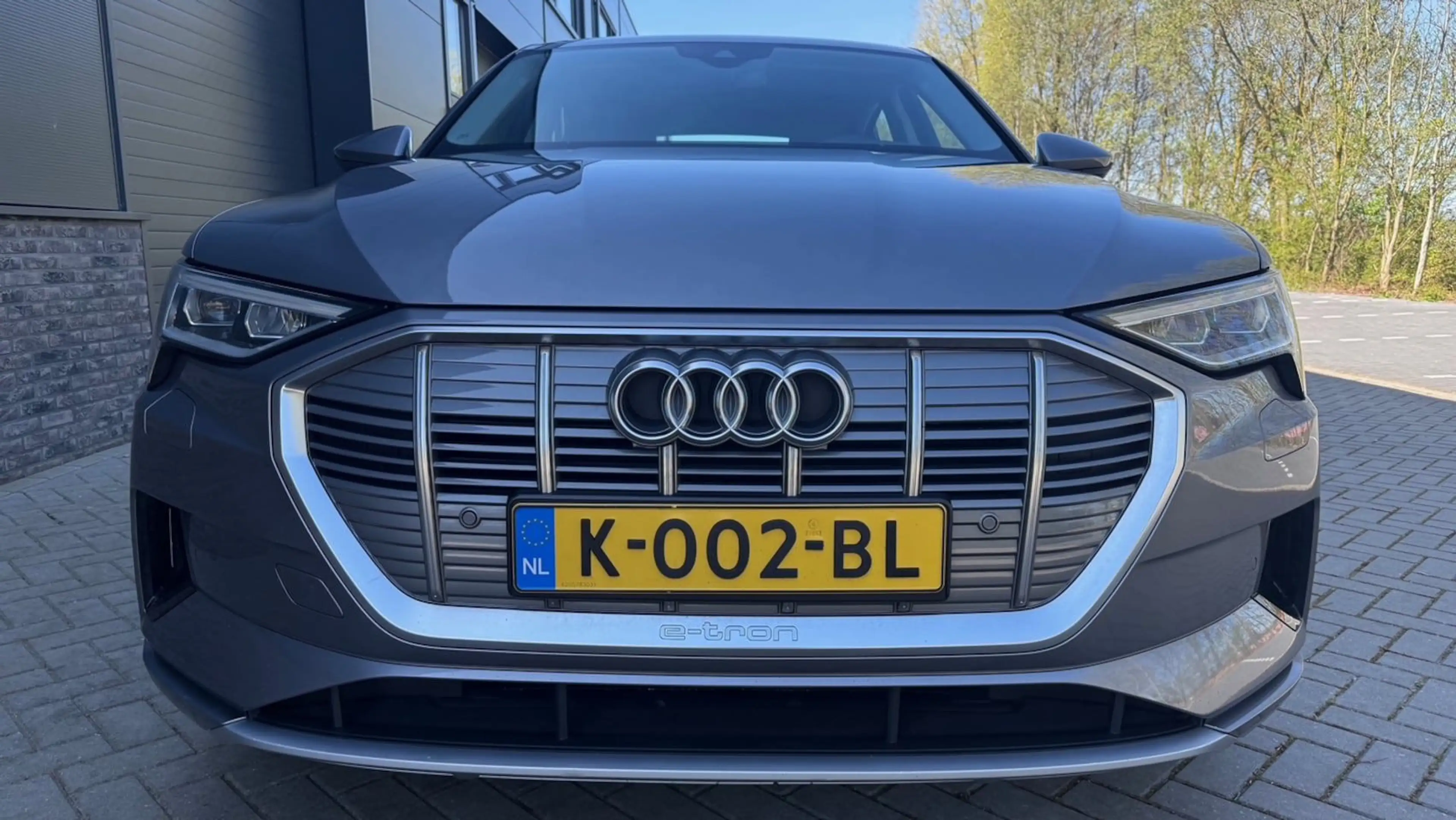 Audi e-tron Sportback 55 quattro Business edition 95 kWh — photo 8