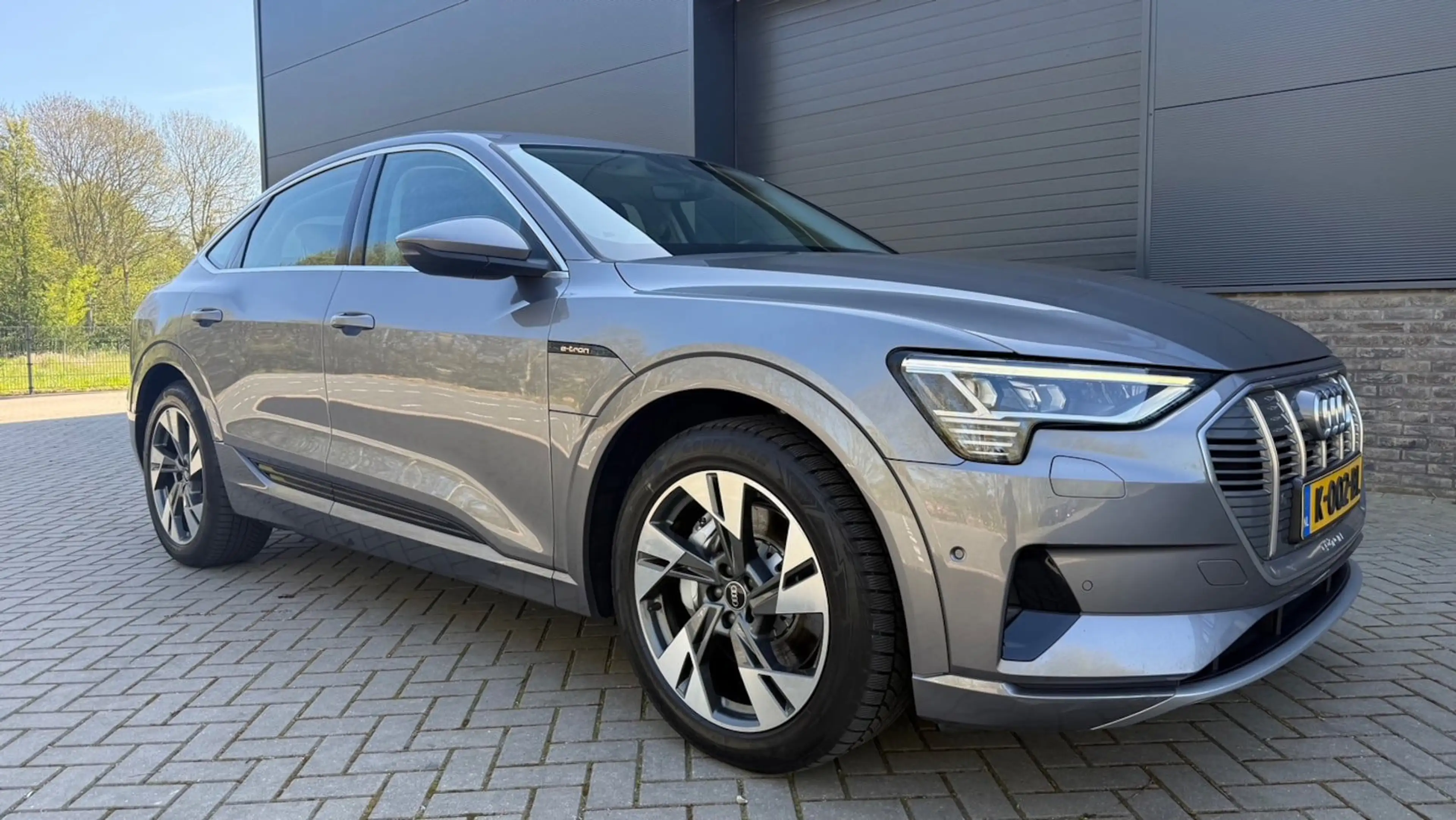 Audi e-tron Sportback 55 quattro Business edition 95 kWh — photo 12