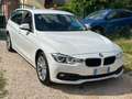 BMW 320 316d Touring Luxury Bianco - thumbnail 3