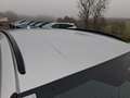 Ford Focus Turnier ST-LINE X 155PS Automatik Benzin/EcoBoo... Silber - thumbnail 21