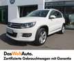 Volkswagen Tiguan 4Sports TDI BMT 4MOTION Weiß - thumbnail 1