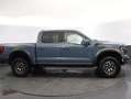 Ford F 150 Raptor 3.5L Twin-Turbo EcoBoost Grey - thumbnail 9