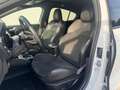 Ford Focus ST PERFORMANCE*RECARO*BA&OL*ACC*NAV*R-KAM Bianco - thumbnail 13