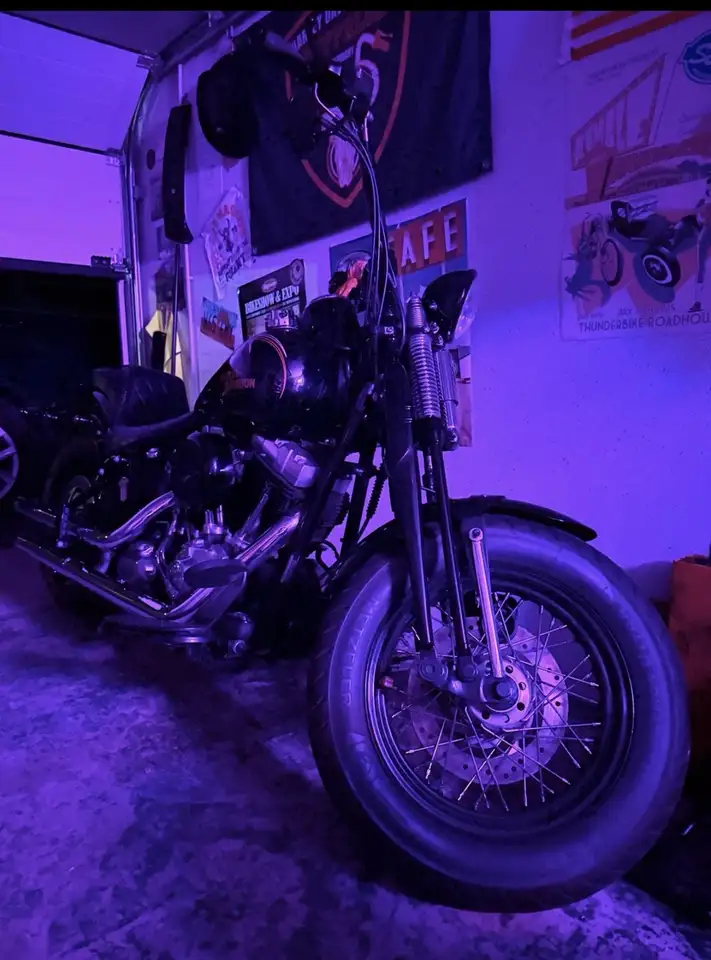 Harley-Davidson Softail