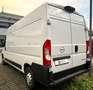 Opel Movano C 2.2 140 KA HKa L3H2 3,5t Edition/Navi Blanc - thumbnail 6