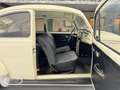 Volkswagen Kever 1300 Deluxe  - ONLINE AUCTION Weiß - thumbnail 24