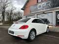 Volkswagen Beetle 1.6 TDi * GPS * SIEGE CH * CRUISE * CLIM AUTO * BT Wit - thumbnail 4